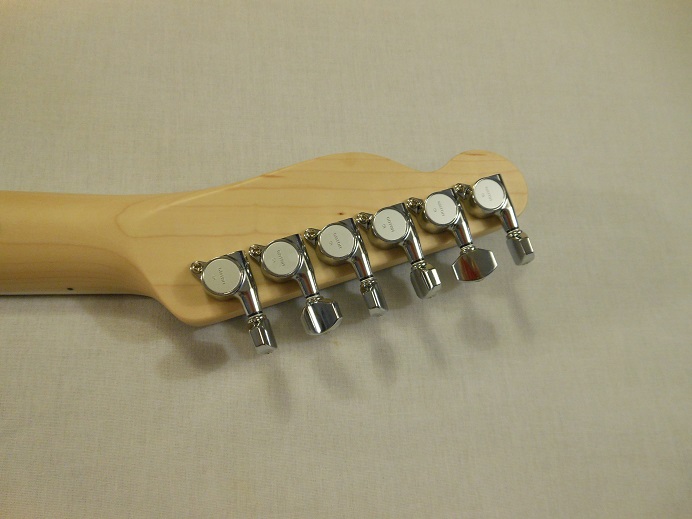 Limited Edition Telecaster Thinline Super Deluxe Picture 4